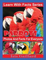 Parrots Photos and Facts for Everyone