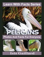 Pelicans Photos and Facts for Everyone