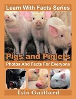 Pigs and Piglets Photos and Facts for Everyone