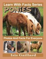 Ponies Photos and Facts for Everyone