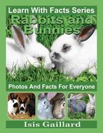 Rabbits and Bunnies Photos and Facts for Everyone