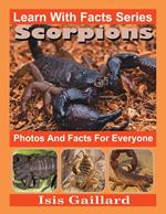 Scorpions Photos and Facts for Everyone