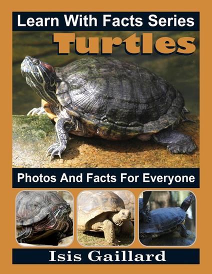 Turtles Photos and Facts for Everyone