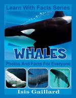 Whales Photos and Facts for Everyone