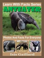 Anteater Photos and Facts for Everyone