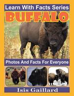 Buffalo Photos and Facts for Everyone