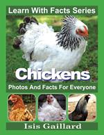 Chickens Photos and Facts for Everyone