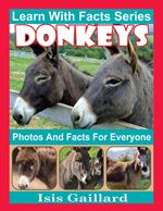 Donkeys Photos and Facts for Everyone