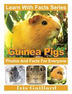 Guinea Pigs Photos and Facts for Everyone