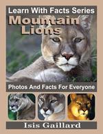 Mountain Lions Photos and Facts for Everyone