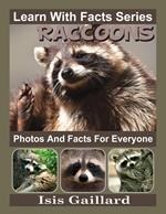 Raccoons Photos and Facts for Everyone
