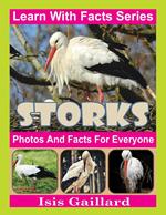 Storks Photos and Facts for Everyone