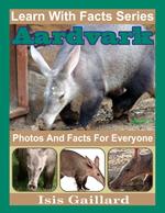 Aardvarks Photos and Facts for Everyone
