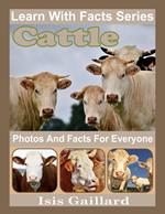 Cattle Photos and Facts for Everyone
