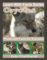 Coyotes Photos and Facts for Everyone