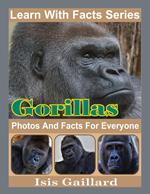 Gorillas Photos and Facts for Everyone