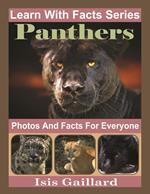 Panthers Photos and Facts for Everyone
