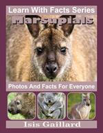 Marsupials Photos and Facts for Everyone