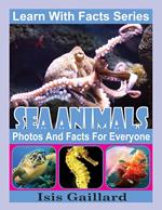 Sea Animals Photos and Facts for Everyone