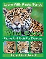 Wild Cats Photos and Facts for Everyone