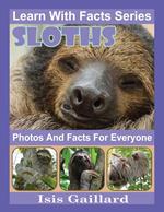 Sloths Photos and Facts for Everyone