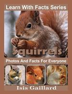Squirrels Photos and Facts for Everyone