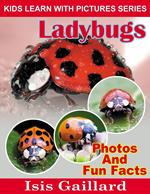 LadyBugs Photos and Fun Facts for Kids