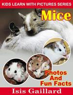 Mice Photos and Fun Facts for Kids