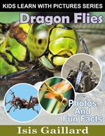 Dragon Flies Photos and Fun Facts for Kids