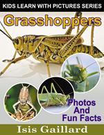 Grasshoppers Photos and Fun Facts for Kids