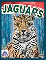 Wild Cats: Jaguars