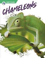 Reptiles: Chameleons