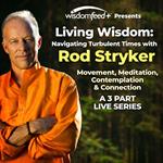 Navigating Turbulant Times with Rod Stryker