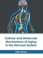 Cellular and Molecular Mechanisms of Aging in the Nervous System