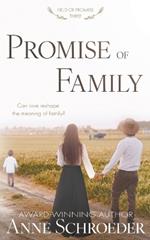 Promise of Family: A Non-Traditional Contemporary Amish Romance