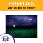 Fireflies, Won't You Come Out Tonight?