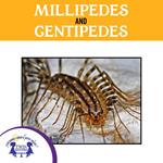 Millipedes And Centipedes