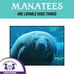 Manatees Are Lovable Huge Things