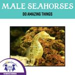 Male Sea Horses Do Amazing Things