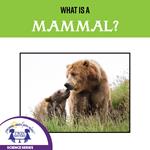 What Is A Mammal?