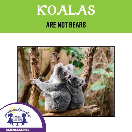 Koalas Are Not Bears