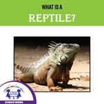 What Is A Reptile?