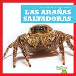 Las arañas saltadores