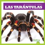 Las tarántulas