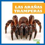 Las arañas tramperas