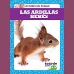 Las ardillas bebés