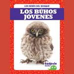 Los búhos jóvenes