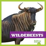 Wildebeests