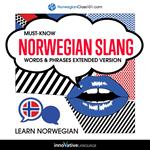 Learn Norwegian: Must-Know Norwegian Slang Words & Phrases