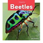 Insects: Beetles